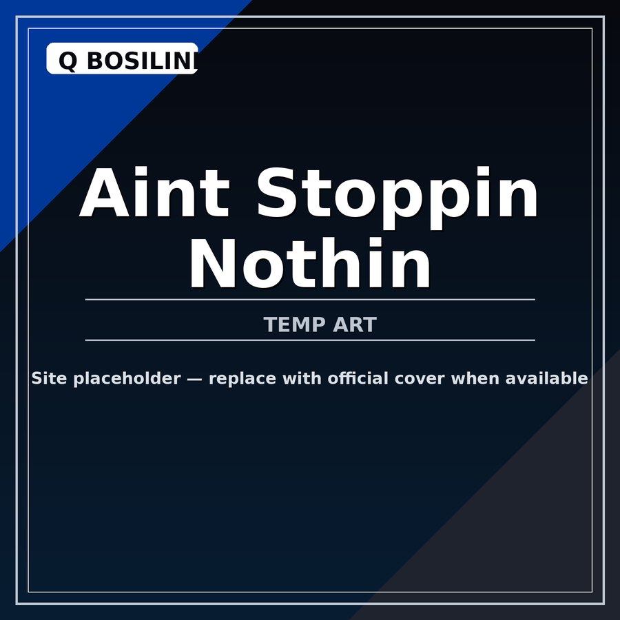 Aint Stoppin Nothin cover art