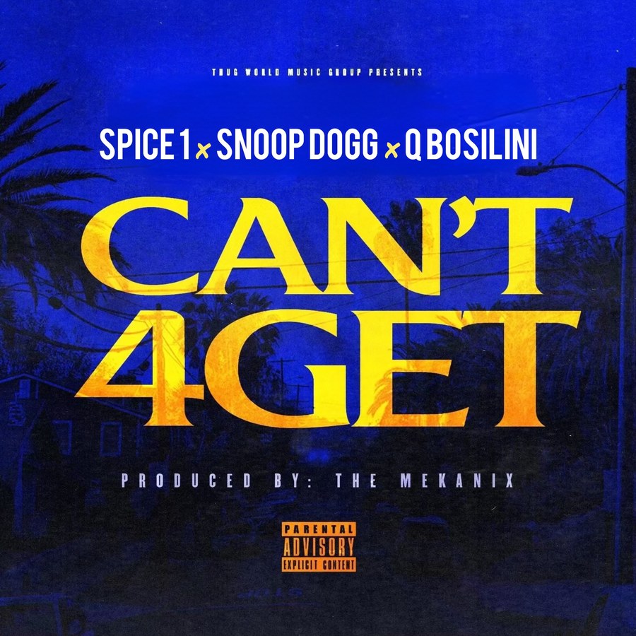 Can’t 4Get cover art